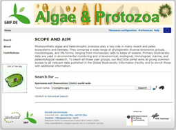 GBIF-D Algae Protists Data Portal