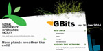 GBits38